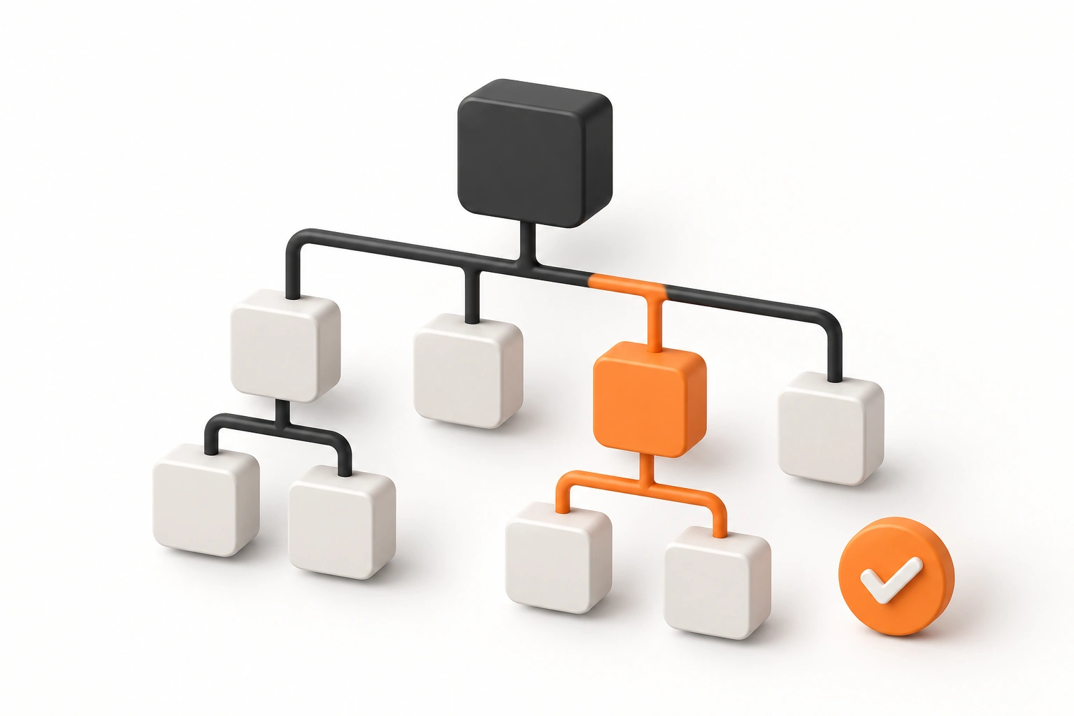 Completed accounting software setup and configuration